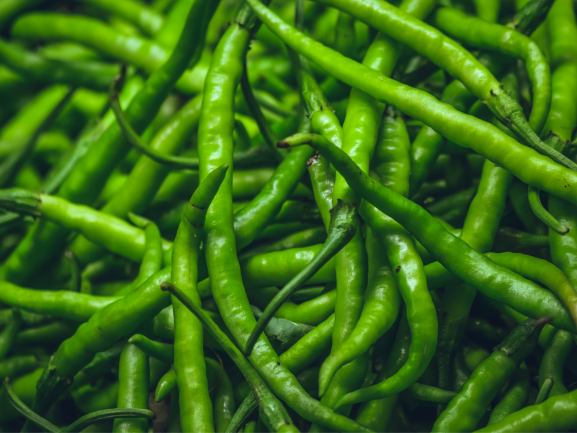 Green Chilli - Global Nexus Exporter